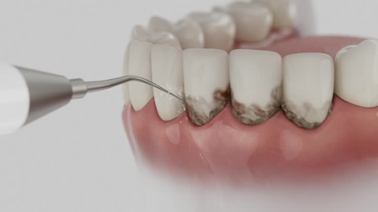 Reliable Dental contractor in Harbour Heights, FL by Dentist Open Now